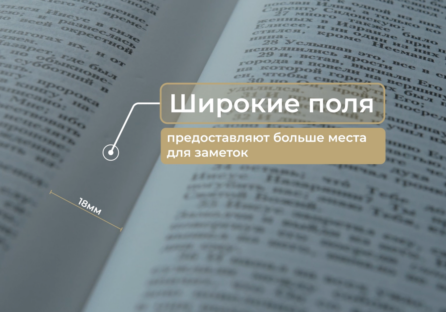 Синодальная Библия