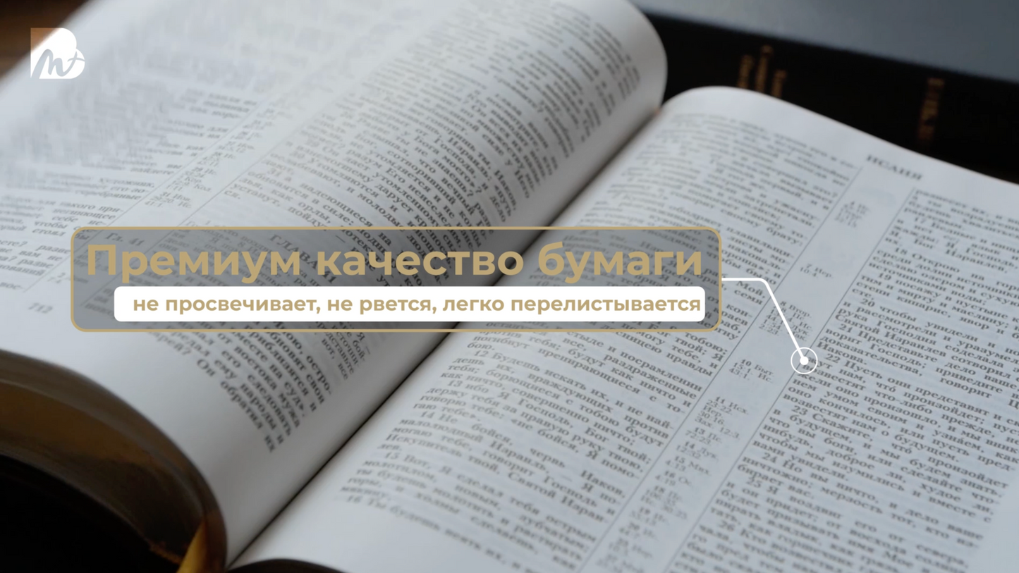 Синодальная Библия