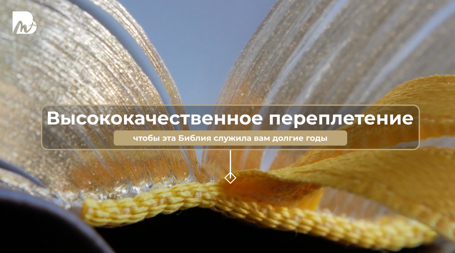 Синодальная Библия